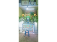 Trang Trí Hoa Tươi