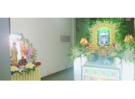 Trang Trí Hoa Tươi