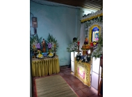 Trang Trí Hoa Tươi