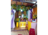 Trang Trí Hoa tươi