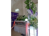 Trang Trí Hoa tươi