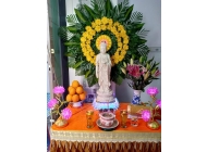 Trang Trí Hoa tươi