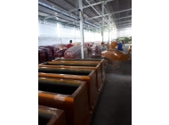 Nắp Tròn Nhập Thổ